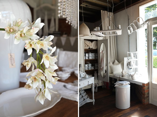 Blanc de blanc, Frater Square, Paarl
