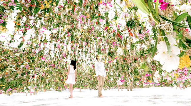 Floating Flower Garden - teamLab