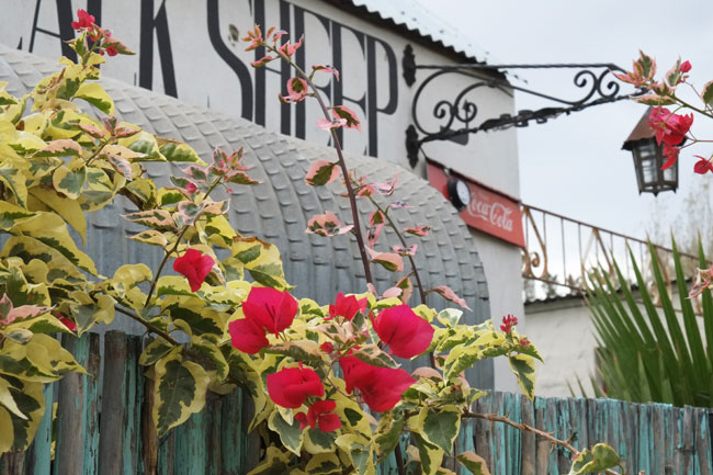 Riebeek Kasteel