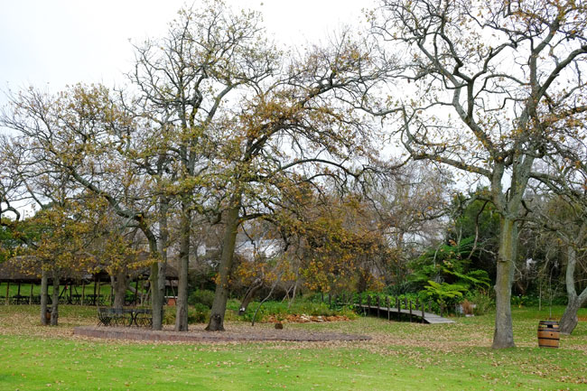 Hartenberg Wine Estate