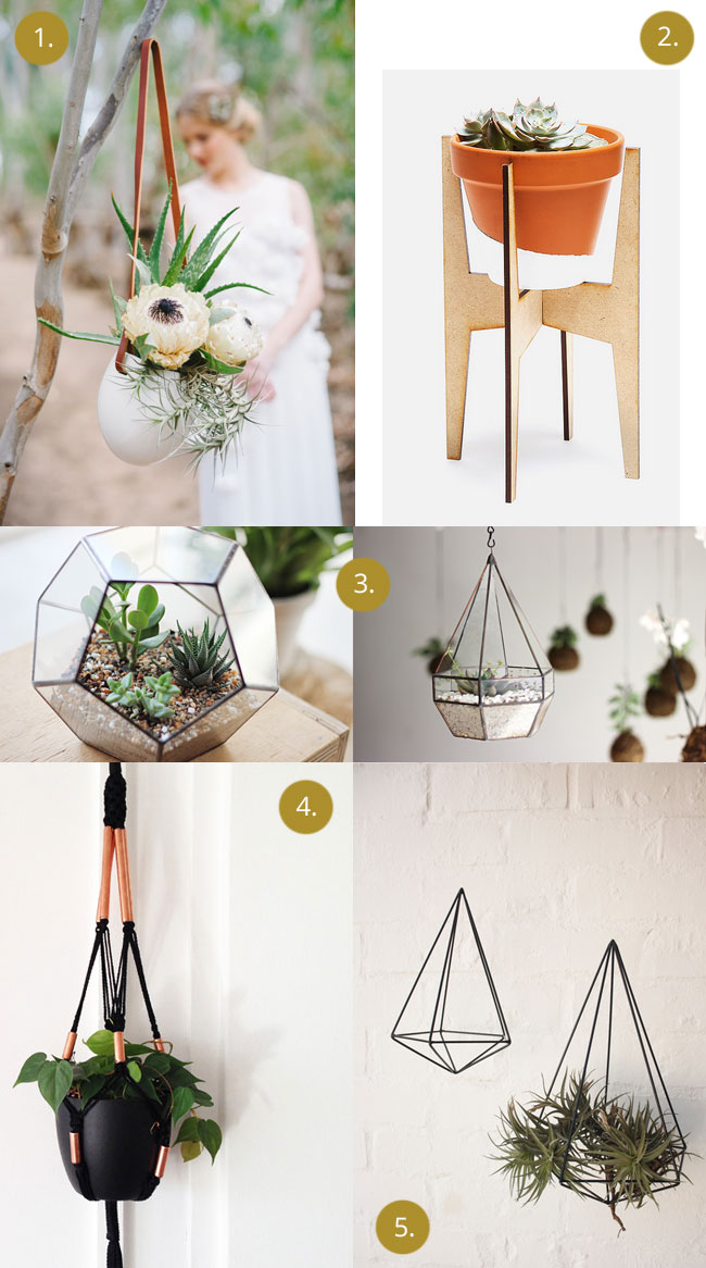 Plant holders