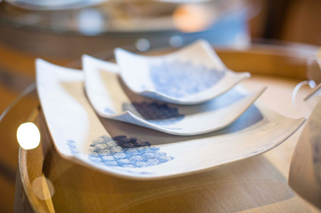 Fragile Fynbos ceramic exhibition