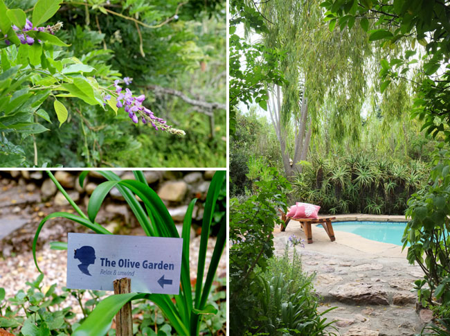 Augusta de Mist garden