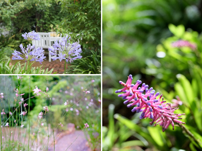Augusta de Mist garden