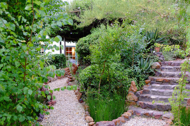 Augusta de Mist garden