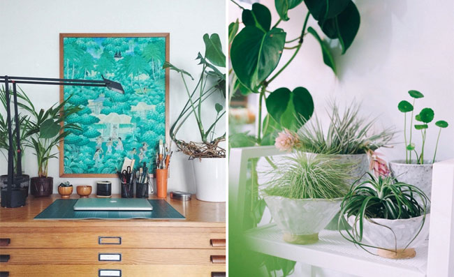 Urban jungle bloggers