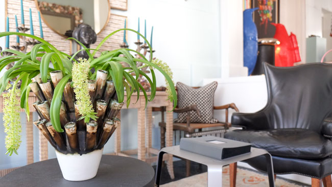 Robert Sherwood Interiors