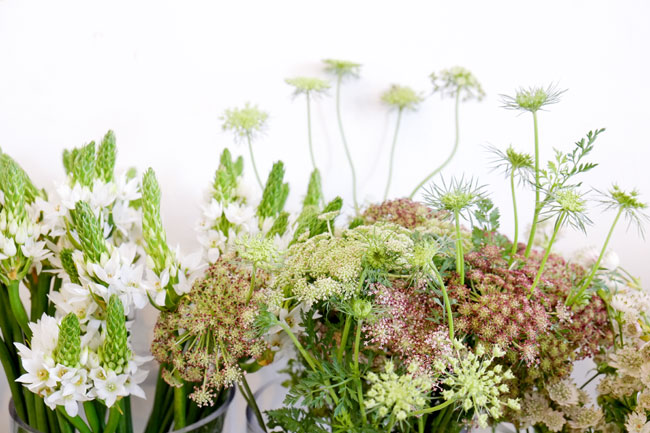 Lush florist, Cape Town