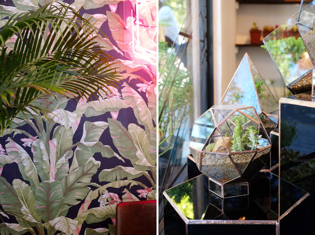Angles and Earth Terrariums