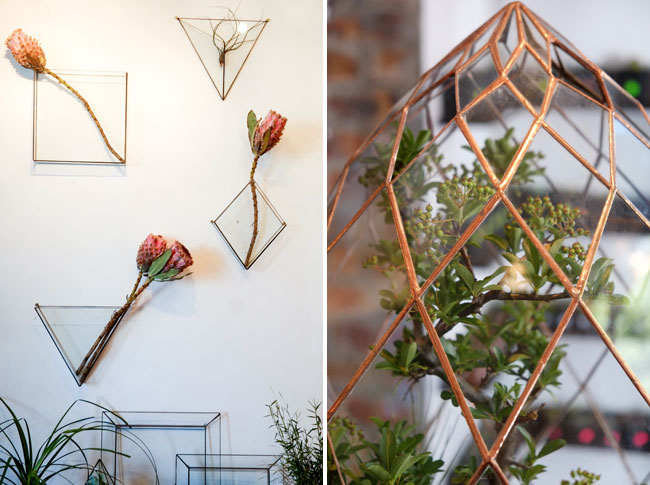 Angles and Earth Terrariums