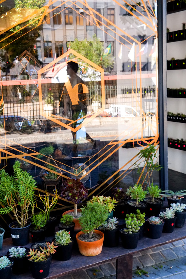 Angles and Earth Terrariums