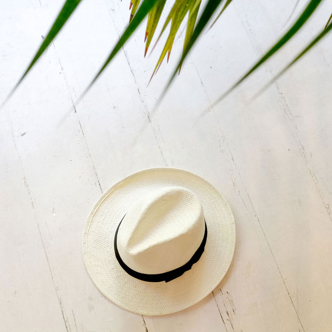 Tallulah's panama hat