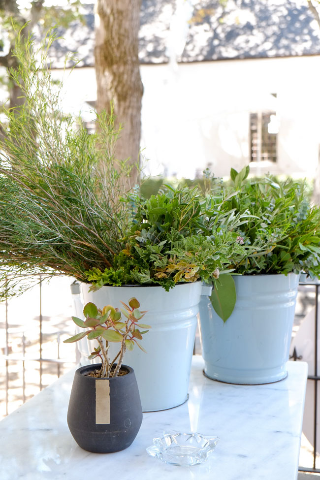 The Farmers Daughter, Stellenbosch