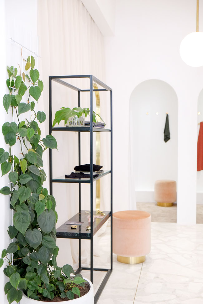 Margot Molyneux on Roeland St