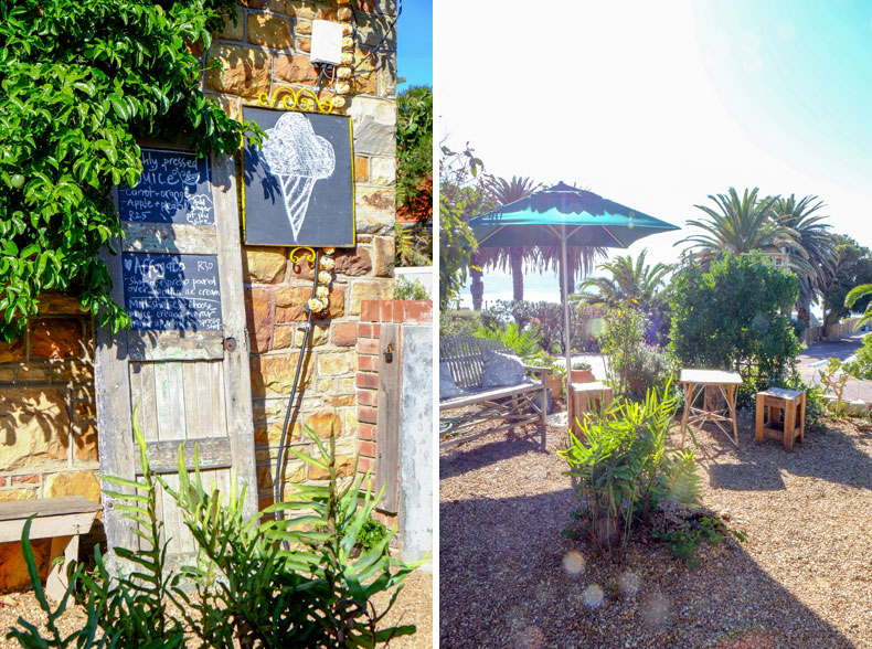 Boulders Beach Ice cream