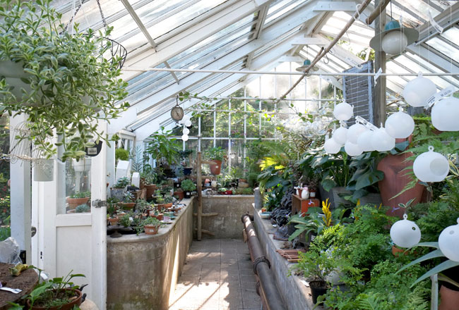 Greenhouse Nursery