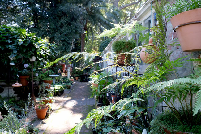 The Greenhouse Nursery