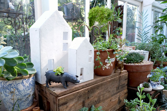 Greenhouse Nursery