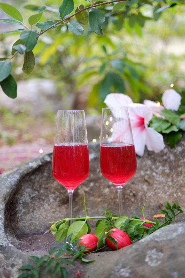 Hibiscus Champagne Cocktail