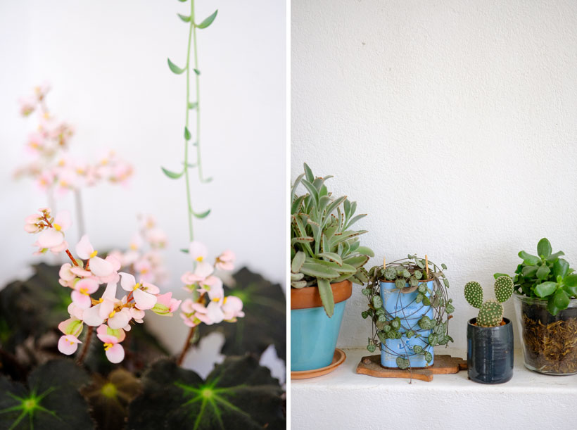 Plants make people happy