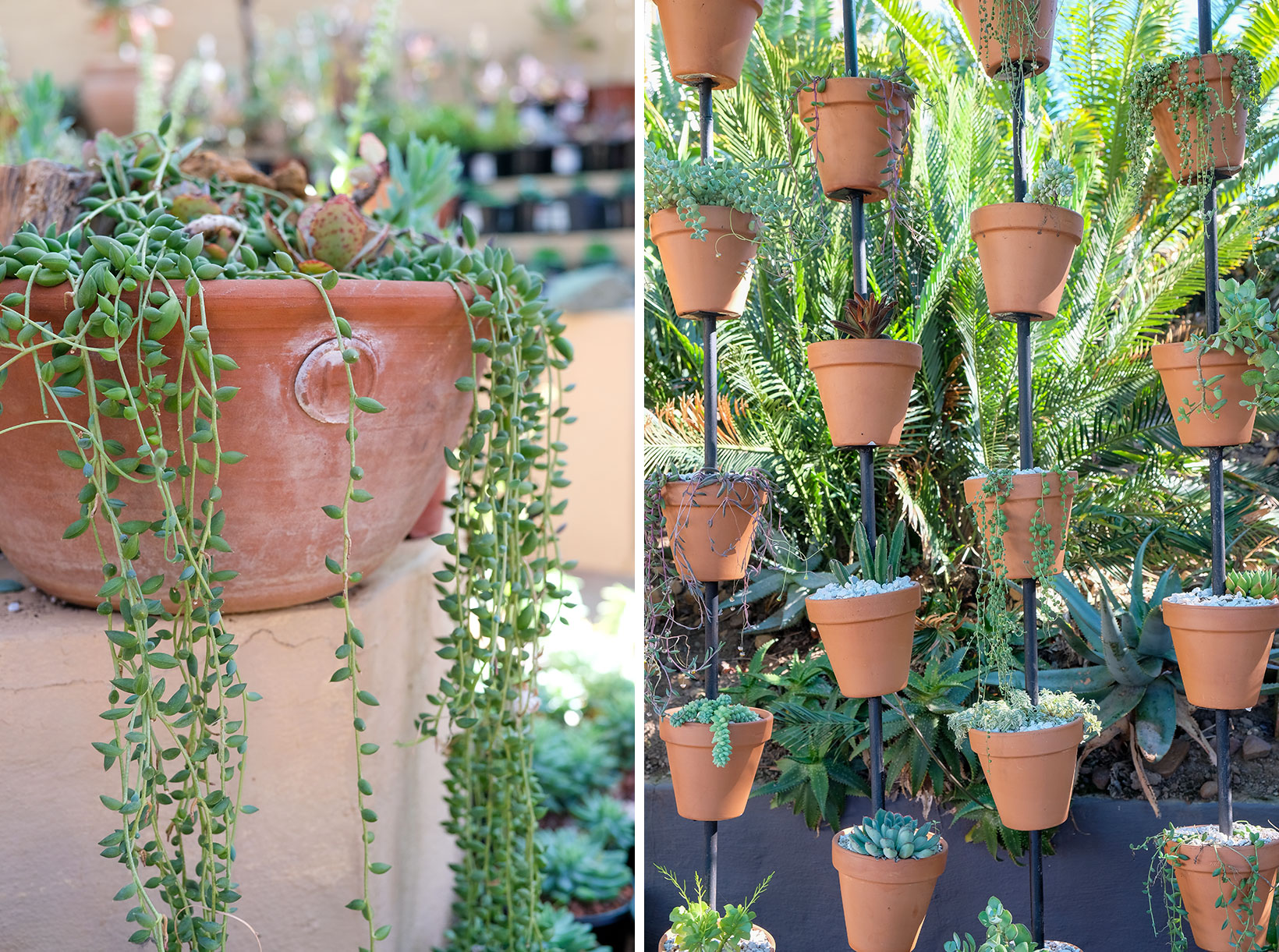 Rooiklip - Swellendam