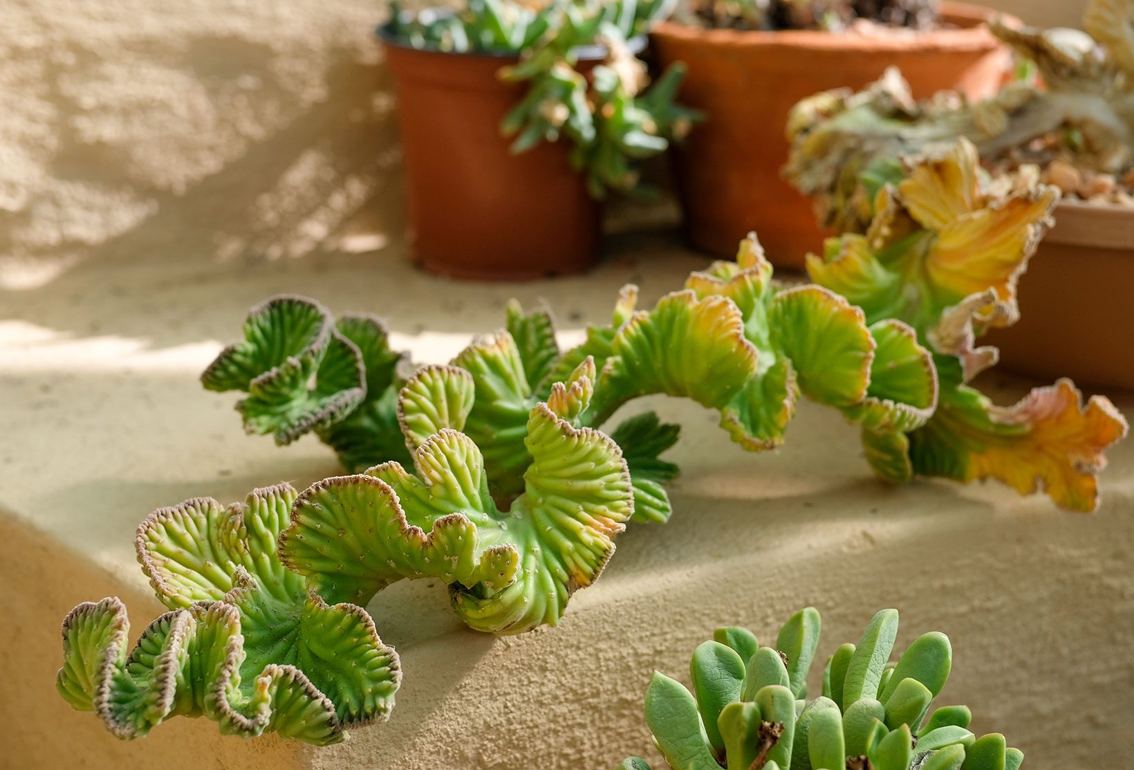 Rooiklip - Swellendam