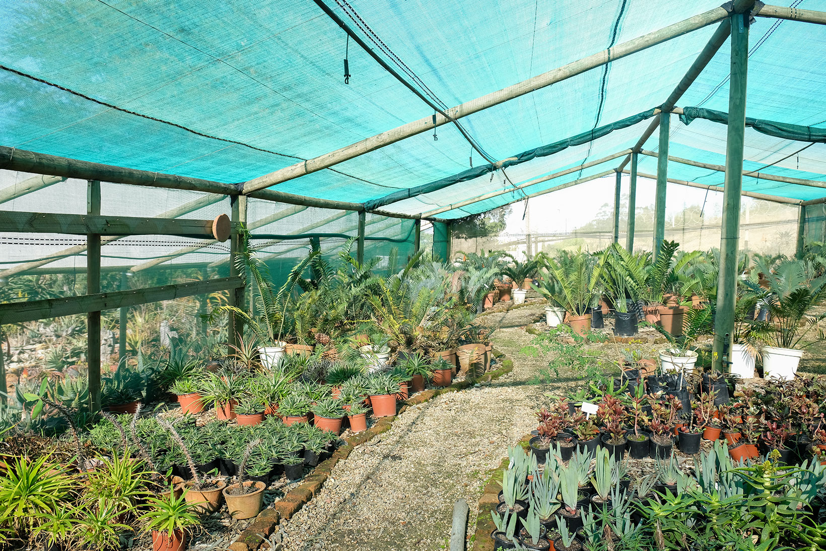 Rooiklip - Swellendam