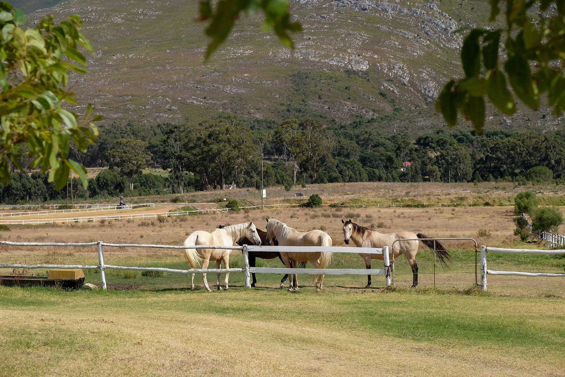 Stanford Valley Guest Farm